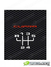 5V Cupra